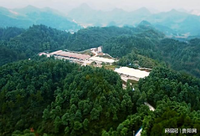 国家级核心育种场标准！清镇再添一座种猪选育场(图2)