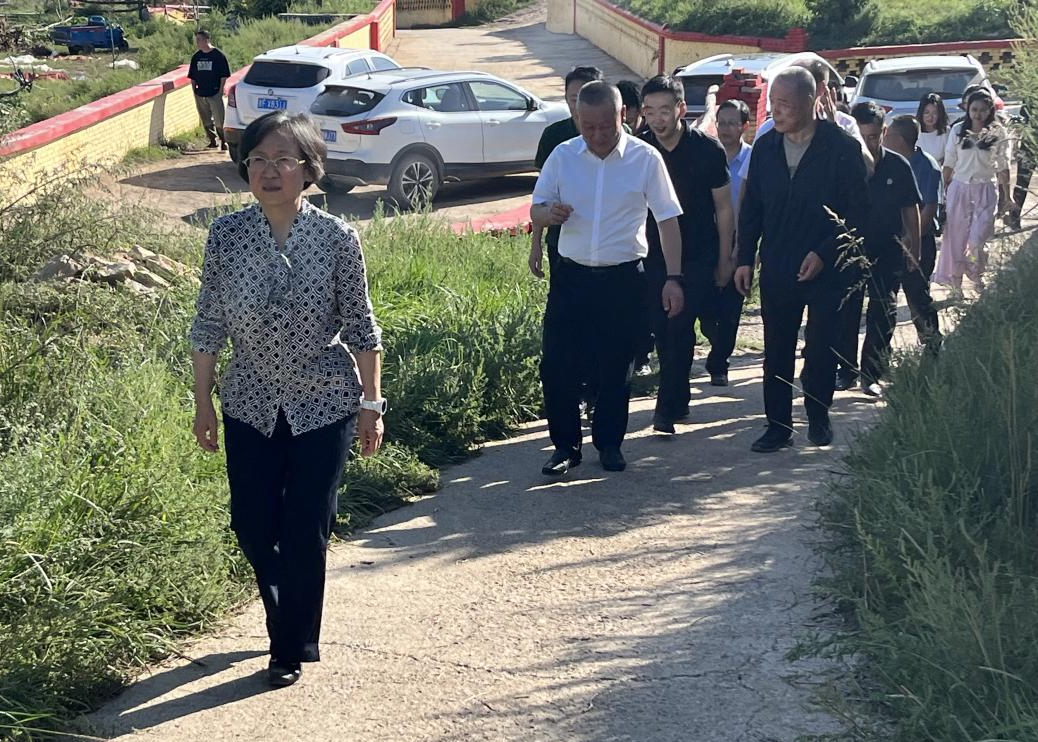 朔凯发国际州市周家庄发展草牧业重塑乡村振兴“新典范”