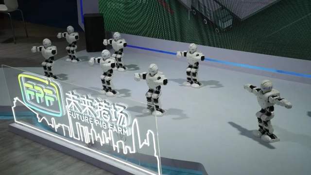 凯发旗舰厅智能驯猪记：李曼大会现场直击数影科技揭秘养猪新法(图8)