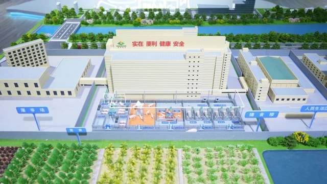 凯发旗舰厅智能驯猪记：李曼大会现场直击数影科技揭秘养猪新法(图7)