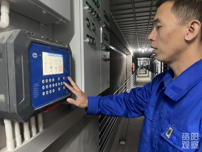 年出栏15万头猪苗！雁江最大现代化种猪场投产在即(图5)