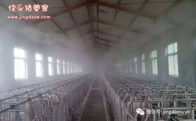 【猪场设备】小型养猪场常用设备(图2)