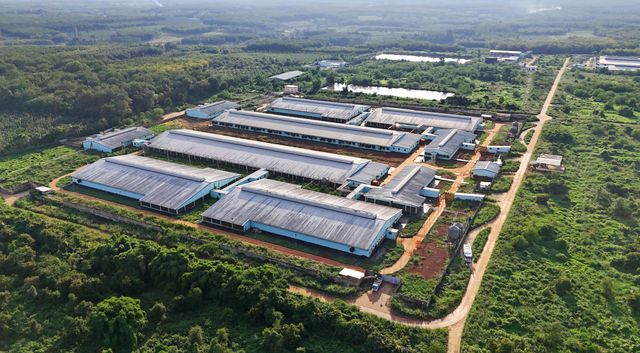 专访新希望六和董事长刘畅：“出海”前要想好做一个什么样的生意人(图3)