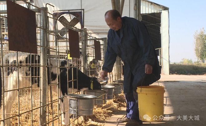 里坦镇：智慧牧场打造优质绿色奶源基地(图2)