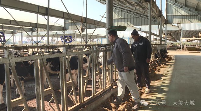 里坦镇：智慧牧场打造优质绿色奶源基地(图5)