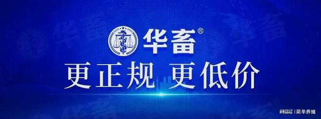 华畜与南华千牧谁更具正规性？华畜优势凸显