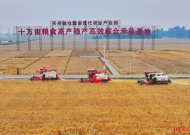 成都印发行动方案：五年打造五个百亿级农业园区！(图2)