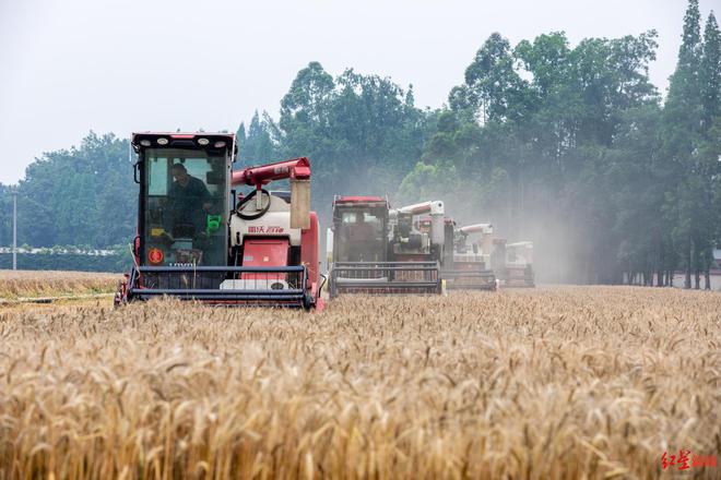 成都印发行动方案：五年打造五个百亿级农业园区！(图3)