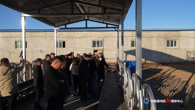 凯发国际新疆阿勒泰召开畜牧养殖新技术、新机具观摩会(图3)
