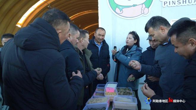 凯发国际新疆阿勒泰召开畜牧养殖新技术、新机具观摩会(图2)