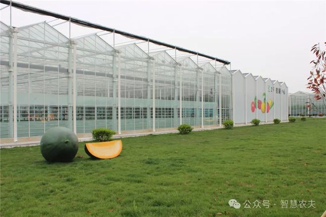 国家鼓励发展现代设施农业但设施农用地这些政策你知道吗？(图4)