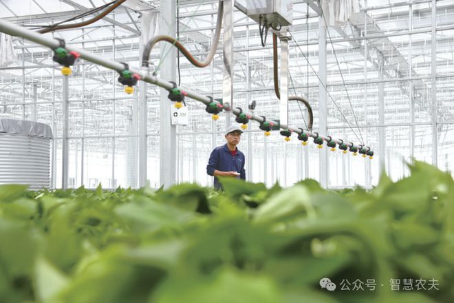 国家鼓励发展现代设施农业但设施农用地这些政策你知道吗？(图5)