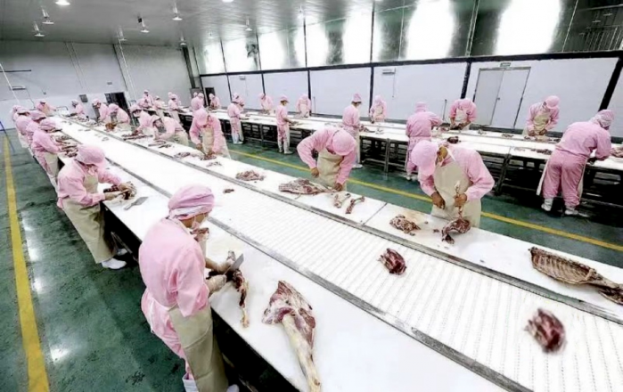 巴中南江：“一只羊”带出一个全产业链(图4)