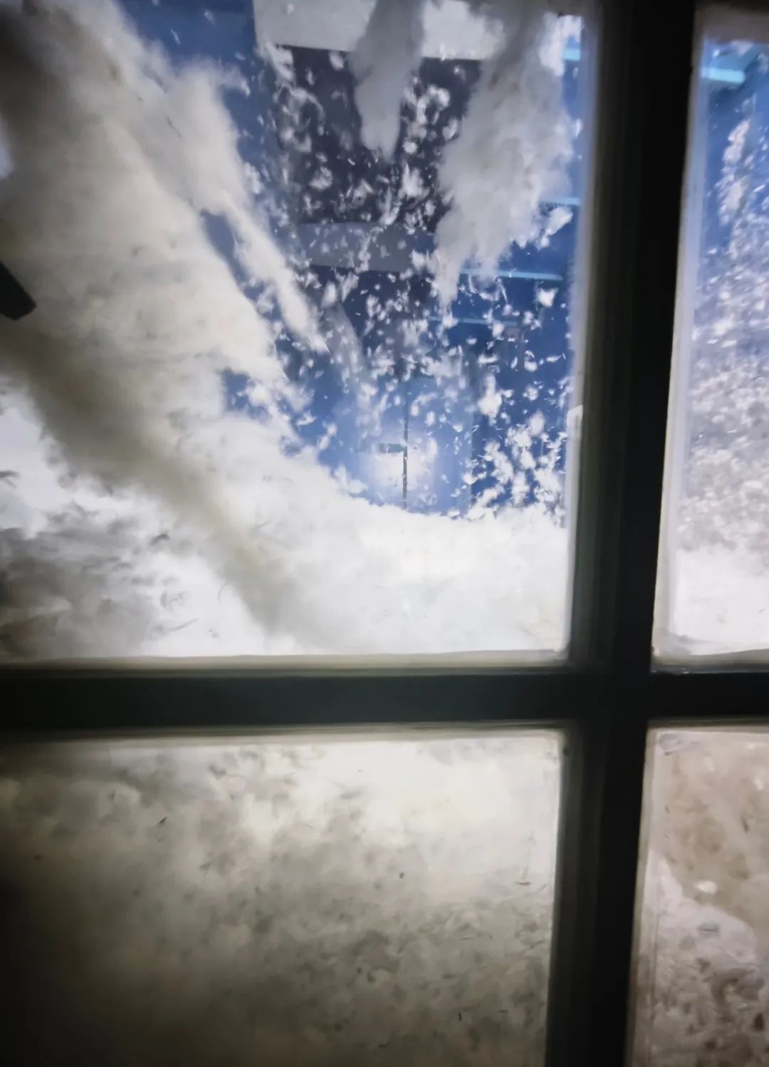 ag凯发鹅绒为什么这么贵？探访皖西鹅绒(图4)