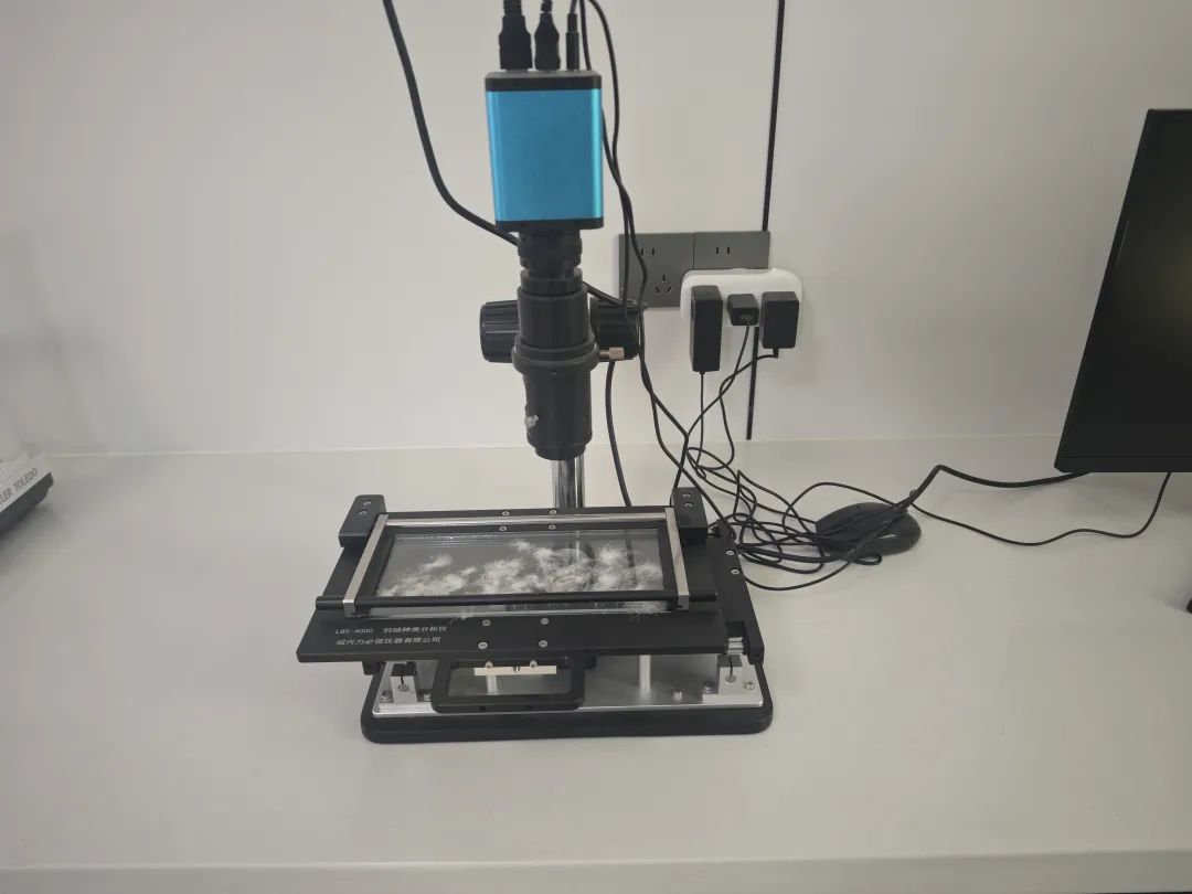 ag凯发鹅绒为什么这么贵？探访皖西鹅绒(图5)