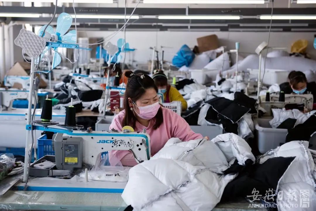 ag凯发鹅绒为什么这么贵？探访皖西鹅绒(图6)