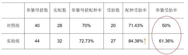 梁鹏帅：PSY26-28！适度规模猪场提升生产成绩的关键策略有哪些？(图5)