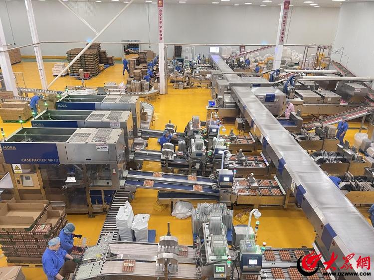 潍有双百双千坊显振兴力量丨“智慧”赋能开启畜牧养殖新时代ag凯发(图2)