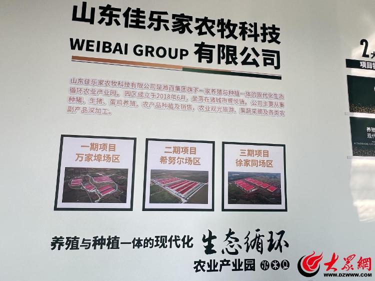 潍有双百双千坊显振兴力量丨“智慧”赋能开启畜牧养殖新时代ag凯发(图3)