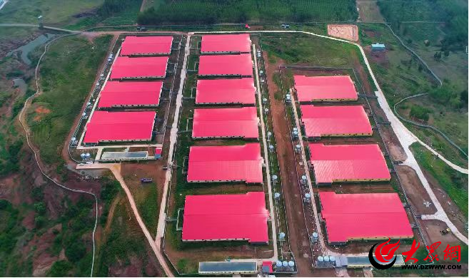 潍有双百双千坊显振兴力量丨“智慧”赋能开启畜牧养殖新时代ag凯发(图4)