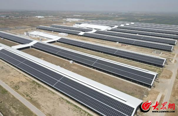 潍有双百双千坊显振兴力量丨“智慧”赋能开启畜牧养殖新时代ag凯发(图6)