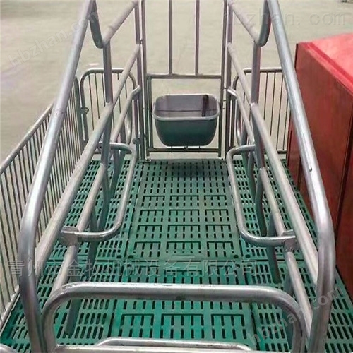 现代化养猪设备母猪产床