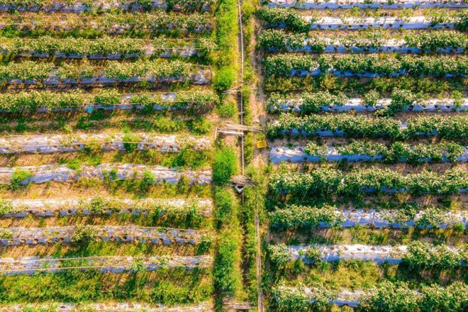 好鸡！好菜！好风景！！(图7)