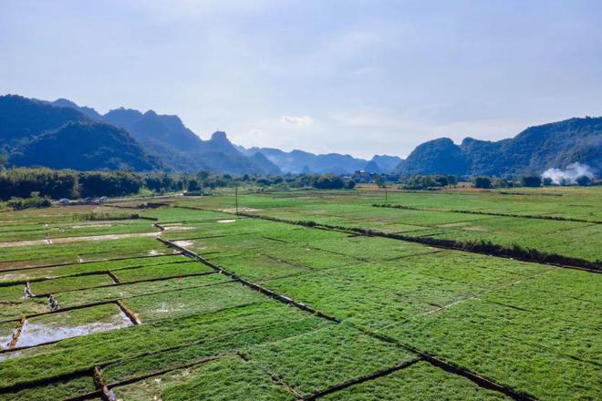 好鸡！好菜！好风景！！(图8)