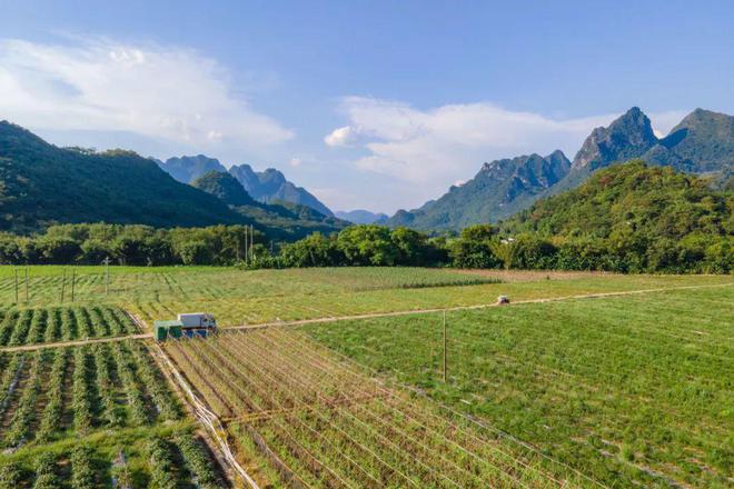 好鸡！好菜！好风景！！(图9)