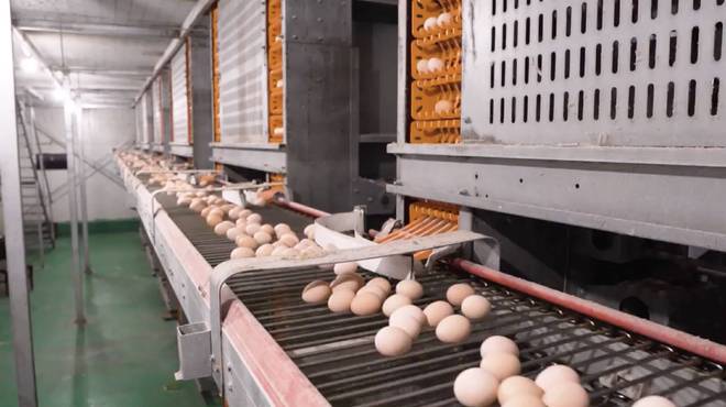 坚守健康农业35年守住百姓餐桌上的安全！(图2)