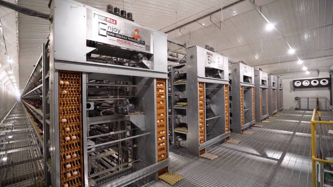 坚守健康农业35年守住百姓餐桌上的安全！(图3)