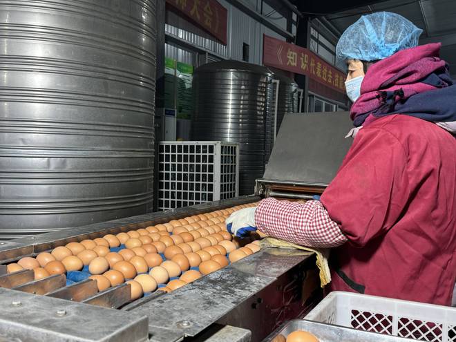 坚守健康农业35年守住百姓餐桌上的安全！(图6)