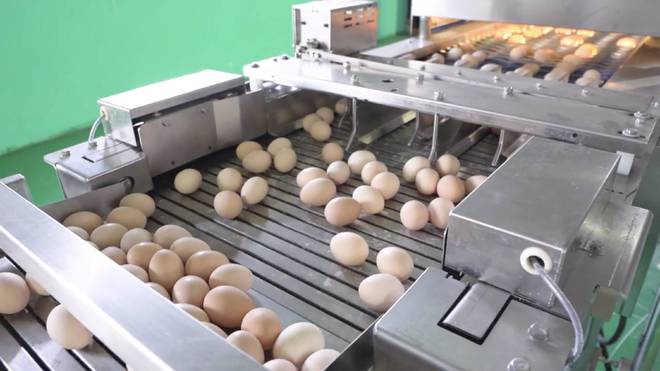 坚守健康农业35年守住百姓餐桌上的安全！(图4)