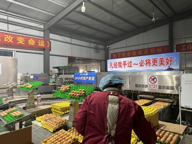 坚守健康农业35年守住百姓餐桌上的安全！(图5)