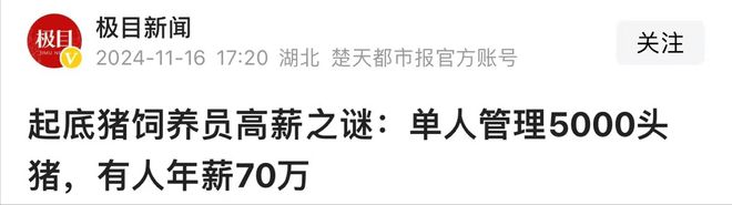 养猪也能高薪！喂食、清扫全自动1人管5000头猪有人年薪70万(图21)