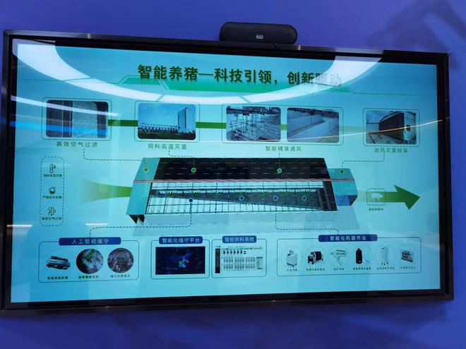 商业秘密｜起底猪饲养员高薪之谜：单人管理5000头猪有人年薪70万(图3)