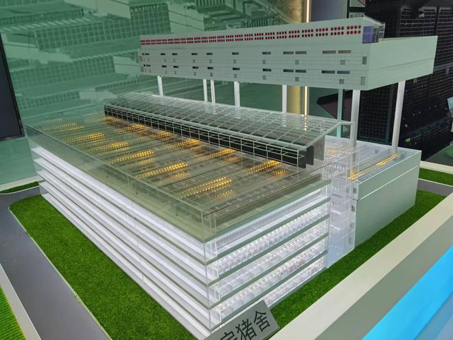 商业秘密｜起底猪饲养员高薪之谜：单人管理5000头猪有人年薪70万(图2)