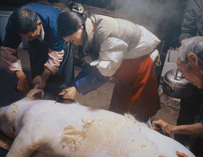 过年杀年猪违法吗？2点要注意否则后果很严重！(图4)