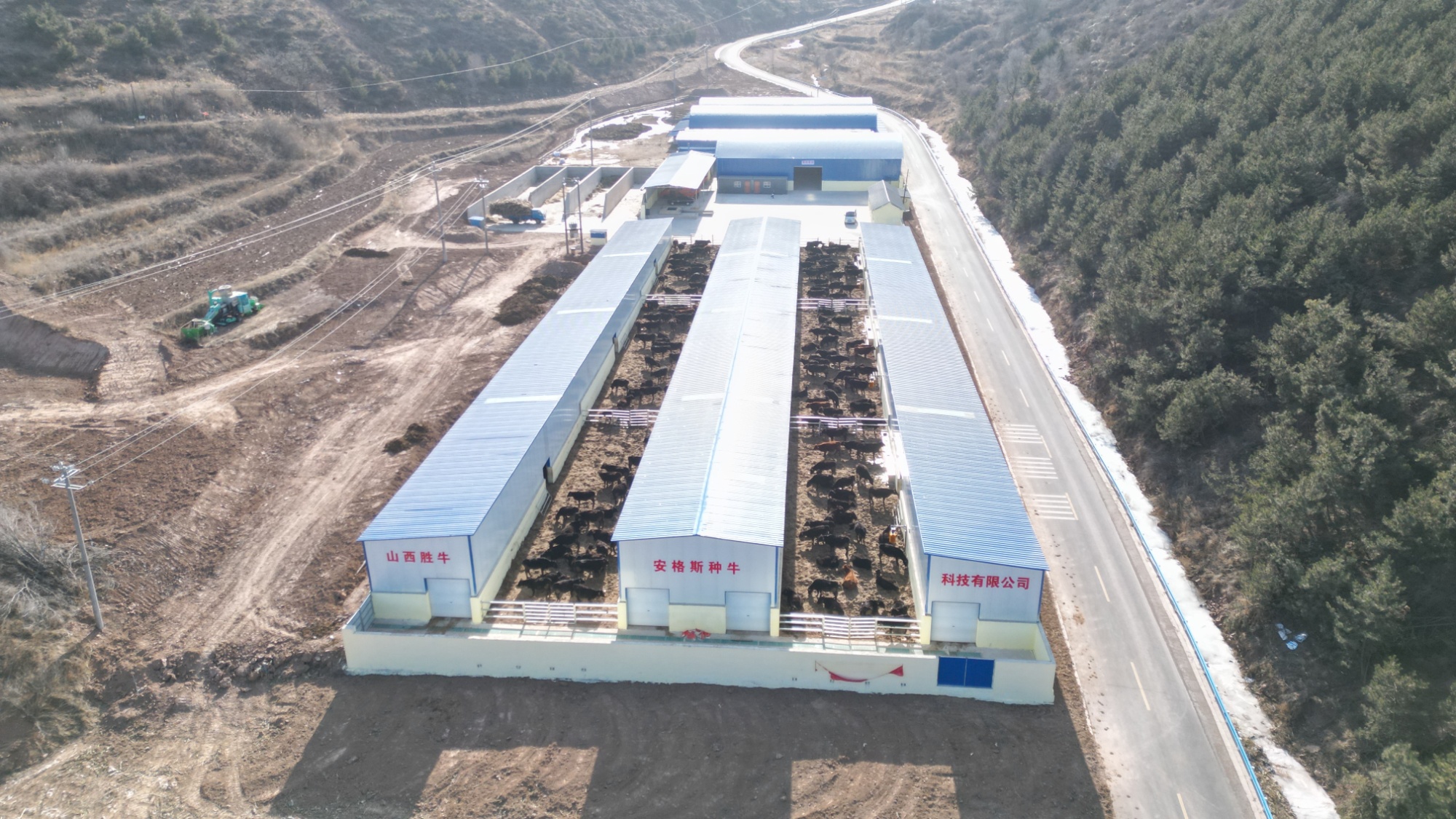 山西昔阳：肉牛产业“犇”富路乡村振兴“牛”劲足(图3)