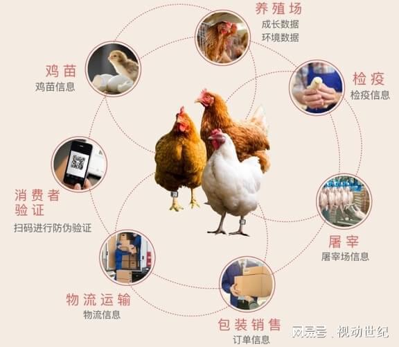 畜禽养殖智能化系统：重塑养殖模式提升产业价值ag凯发