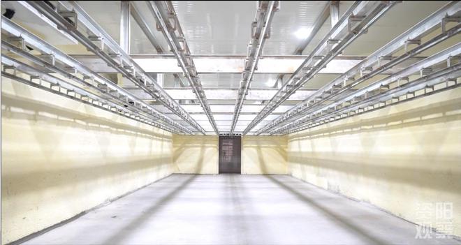 设计产能50万头资阳高新区最大的生猪屠宰企业正式投产凯发旗舰厅(图2)