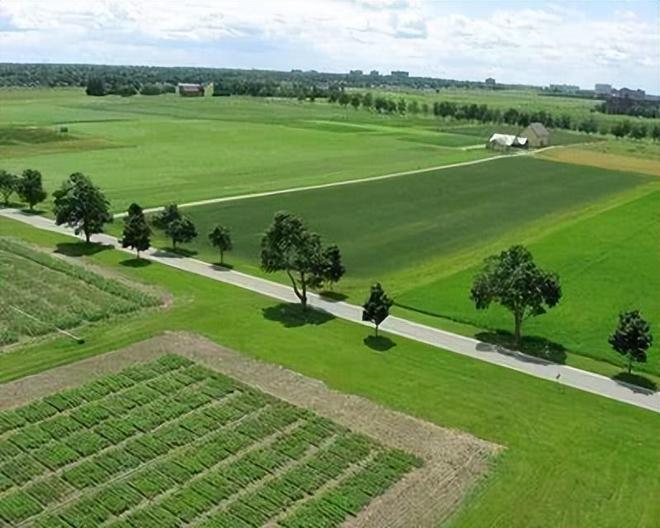 为什么美国被称为全球养猪大国？看看人家对猪粪的处理就明白了(图2)