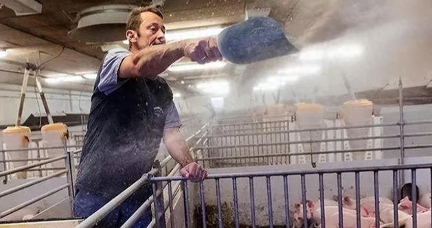 为什么美国被称为全球养猪大国？看看人家对猪粪的处理就明白了(图5)