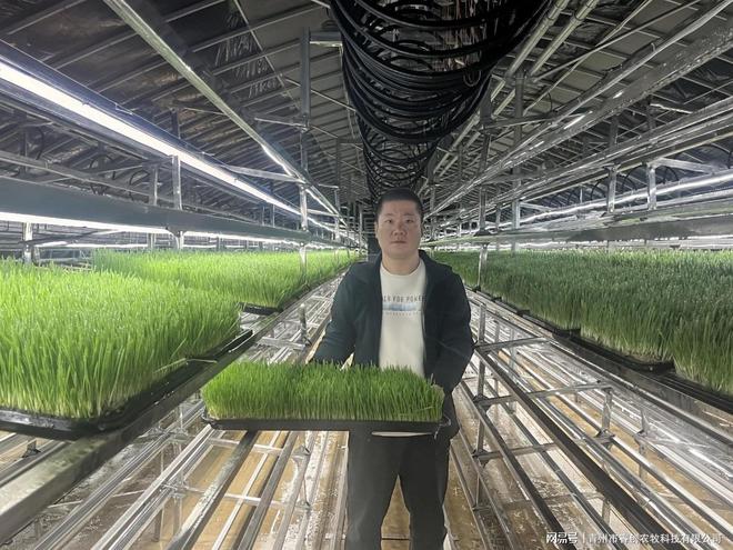 智能化水培牧草工厂：牧草短缺的解决方案！