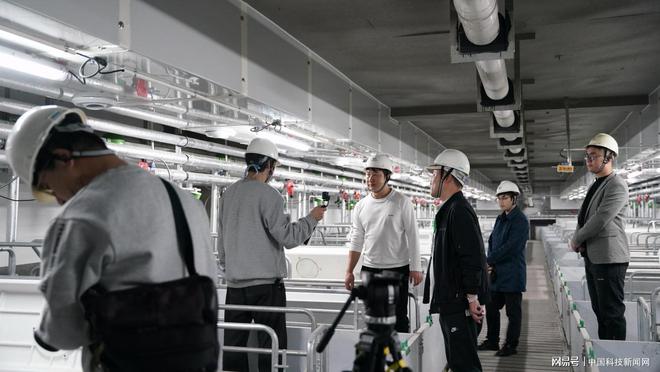 ag凯发科技赋能养猪业：中国数字化智能养猪技术引韩关注(图3)