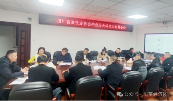 凯发国际四川省畜牧业协会牛业分会召开成立大会筹备会