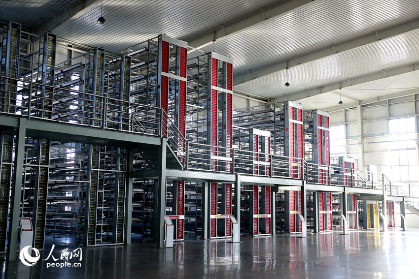 【新春走基层】“鸡窝”能有多智能？