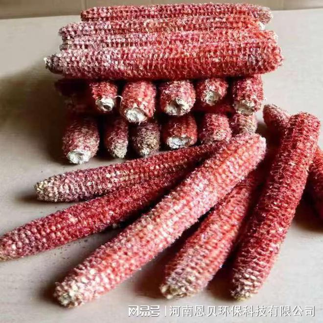 粉碎机生产厂家畜牧饲料玉米芯粉碎机(图2)