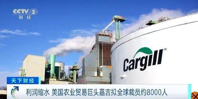 彭进：谈谈2024年养猪业十大事件(图5)