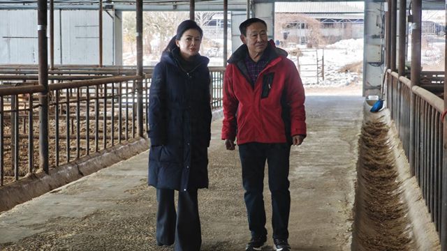 全国政协委员吕爱辉：加大畜牧科研投入健全产学研联合育种机制